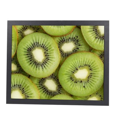 17 Inch Infrared Touch Monitor IP65 Front Waterproof 1280x1024 Resolution